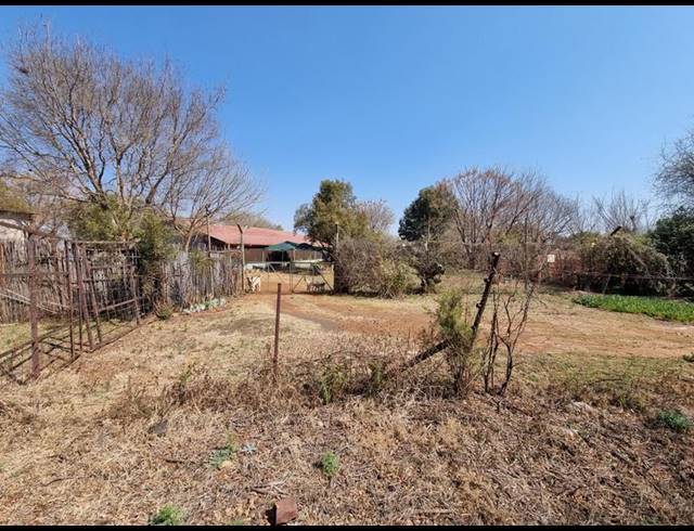 FARM FOR SALE IN ERASMIA